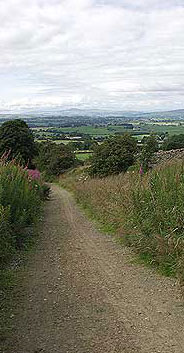 Walking Holiday